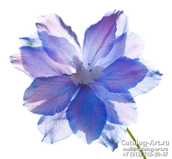 Натяжные потолки с фотопечатью - Голубые цветы 18